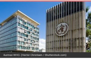 Awas! Sangat Menular, WHO Peringatkan Virus Marburg Berpotensi Menyebar Luas