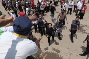 Tinjau Industri Nanas di Lampung, Puan Ingatkan Perusahaan-Petani Harus Sinergis