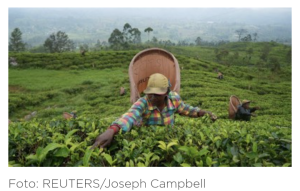 Tanda Kiamat, oleh Pemanasan Global