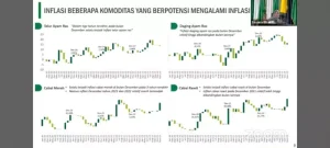 TPID Lampung Selatan Ikuti Rakor Pengendali Inflasi Secara Virtual