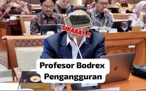 Komaruddin Hidayat Golongan Profesor Bodrex Pengangguran, Makanya Cari Kerja di Dewan Pers