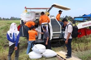 TNI Wujudkan Aksi Nyata, dalam Mendukung Ketahanan Pangan Nasional