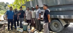 Polres Keerom Tindak Tegas Peredaran Miras Lokal, Lima Orang dan Barang Bukti Diamankan
