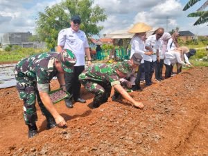 Anggota Koramil 410-04/TKT, Dukung Pemda Kendalikan Inflasi dan Ketahanan Pangan